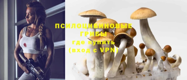 твердый Алексин