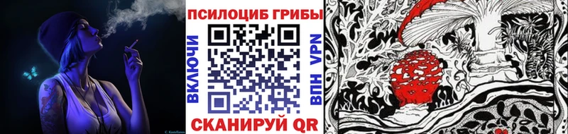 Псилоцибиновые грибы GOLDEN TEACHER  Пушкино 