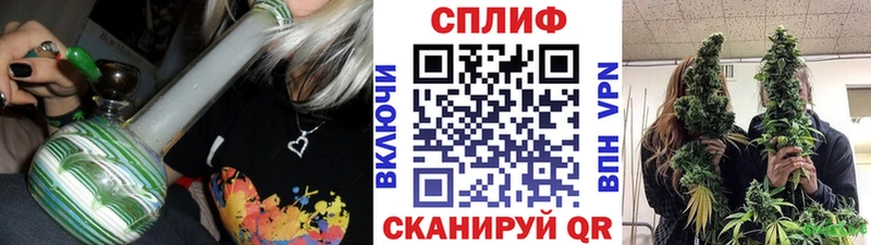 Шишки марихуана сатива  купить наркоту  Пушкино 